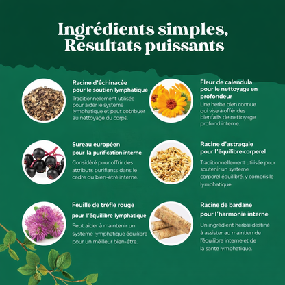 Gouttes Lymphatiques Harmonia